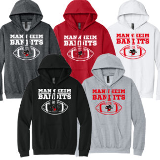 1Softstyle® Midweight Sweat Adult Hoodie SF500 BALL