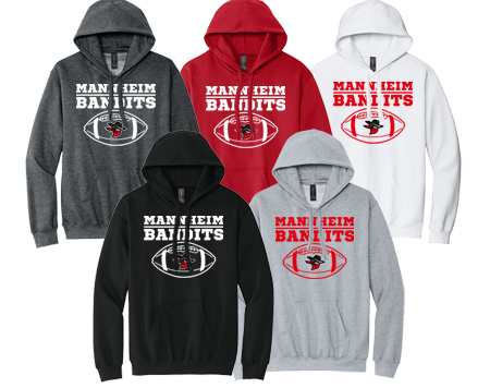 1Softstyle® Midweight Sweat Adult Hoodie SF500 BALL