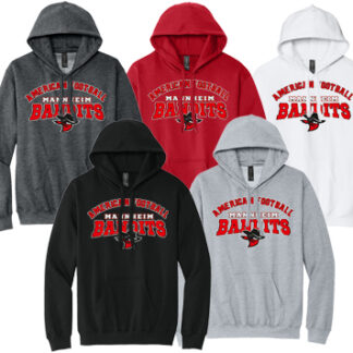 1Softstyle® Midweight Sweat Adult Hoodie SF500 OLD