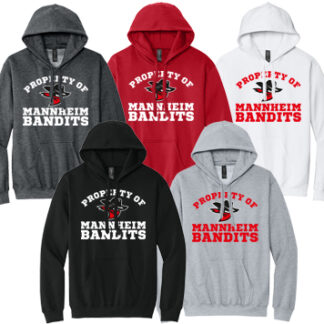 1Softstyle® Midweight Sweat Adult Hoodie SF500 PRO